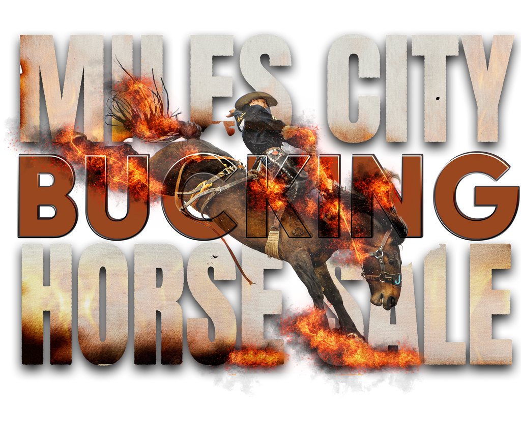 Horse Fire Hoodie