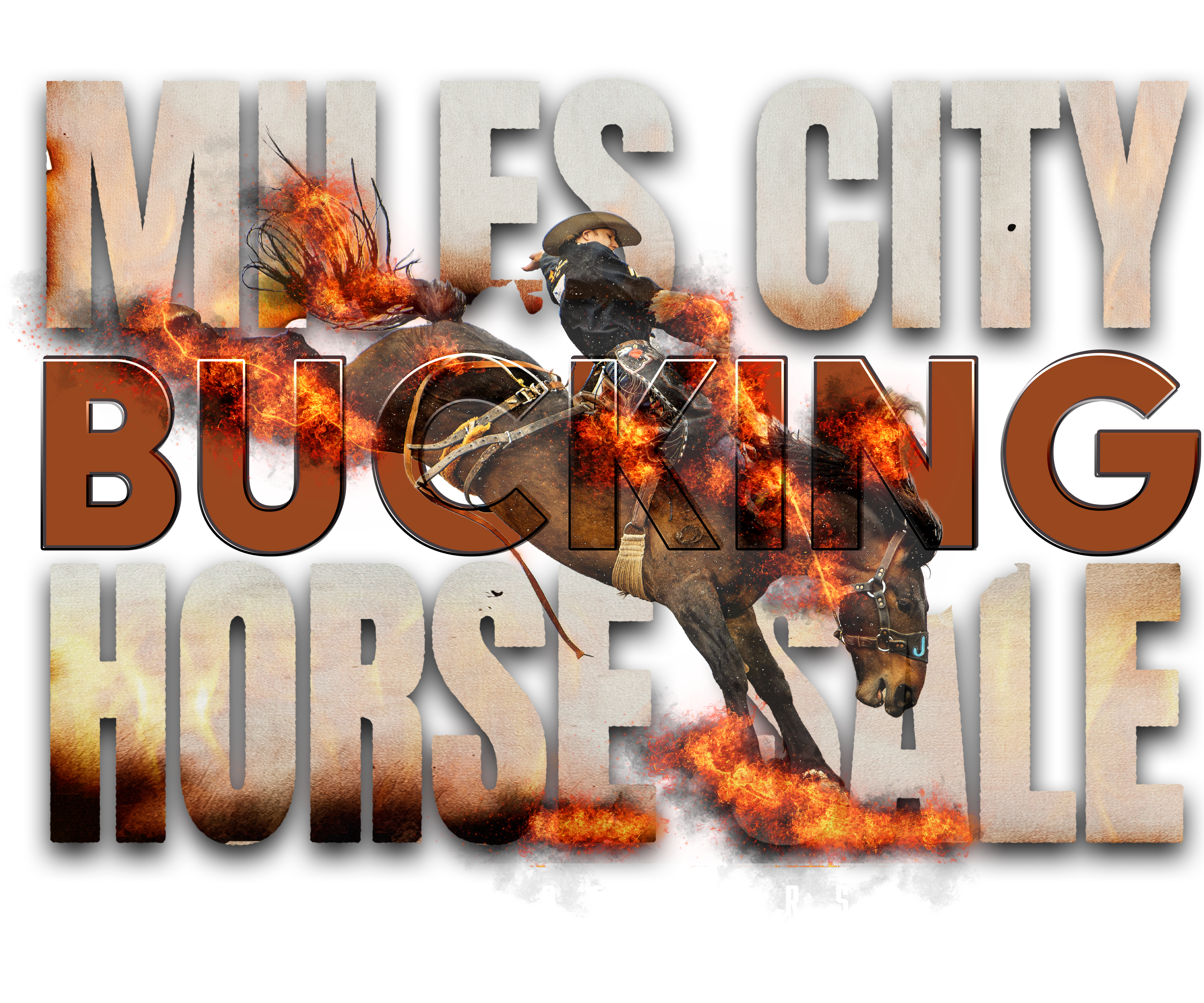 Horse Fire Hoodie
