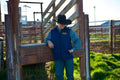 Men's Lightweight Puffer Vest - Navy